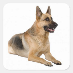 Liebe German Shepherd Puppy Dog Stickers