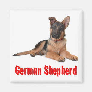 Liebe German Shepherds Welpe Dog Kühlschrankmagne Magnet