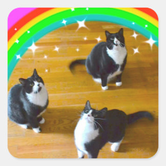 Liebe gewinnt TuxedoTrio Stickers