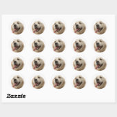 Liebe Golden Retriever Puppy Docking Stickers (Blatt)