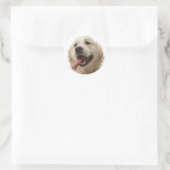 Liebe Golden Retriever Puppy Docking Stickers (Tasche)