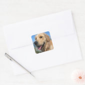 Liebe Golden Retriever Puppy Docking Stickers (Umschlag)