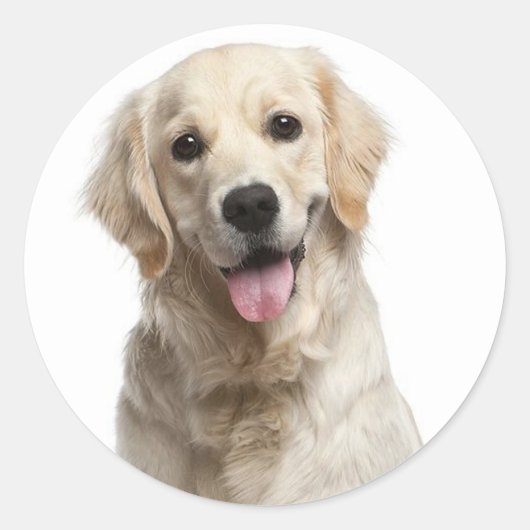 Liebe Golden Retriever Puppy Docking Stickers (Vorderseite)