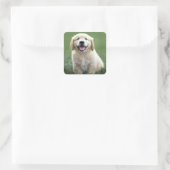 Liebe Golden Retriever Puppy Docking Stickers (Tasche)
