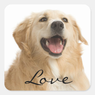 Liebe Golden Retriever Puppy Docking Stickers
