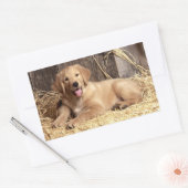 Liebe Golden Retriever Puppy Docking Stickers (Umschlag)