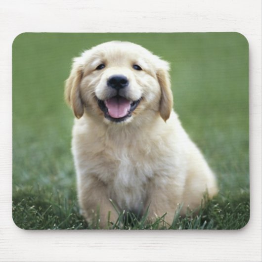 Liebe Golden Retriever Welpe Hund Grüngras Mousepad (Vorne)