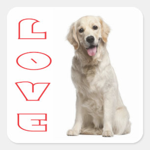 Liebe Golden Retriever Welpen Hund Aufkleber