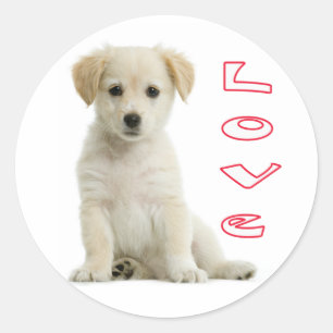 Liebe Golden Retriever Welpen Hund Stickers