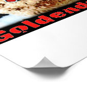 Liebe Goldendoodles Poster (Ecke)