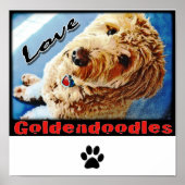Liebe Goldendoodles Poster (Vorne)