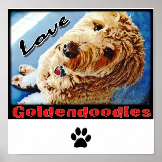 Liebe Goldendoodles Poster (Vorne)