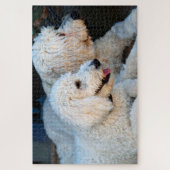 Liebe Goldendoodles Puzzle (Vertikal)