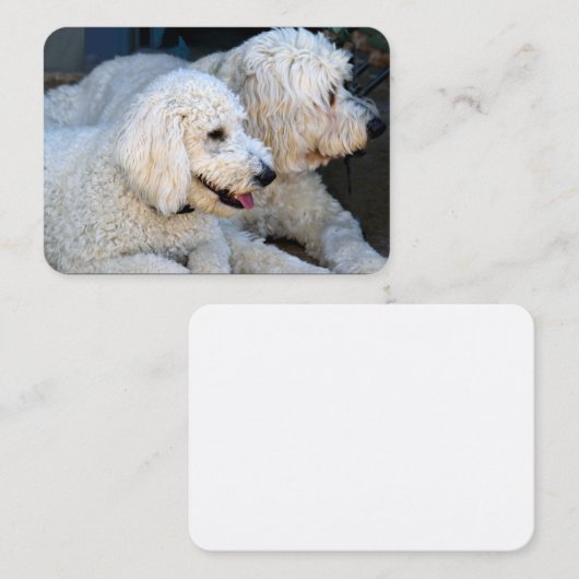 Liebe Goldendoodles Visitenkarte (Vorne/Hinten)