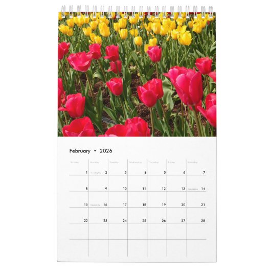 Liebe-Großmutter-Kalender Kalender (Feb 2026)