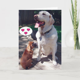 Liebe Grußkarte (mit Hunden) Karte