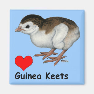 Liebe Guinea Keets Magnet