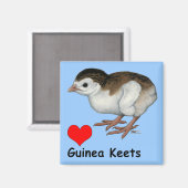 Liebe Guinea Keys Magnet (Vorderseite/Rückseite)