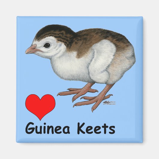 Liebe Guinea Keys Magnet (Vorne)