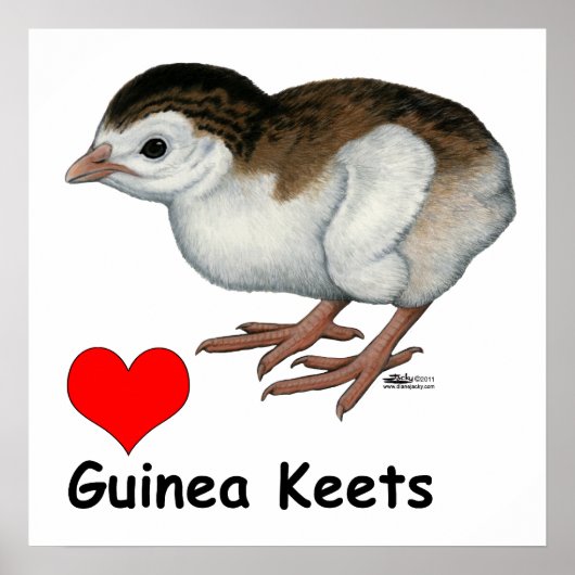 Liebe Guinea Keys Poster (Vorne)