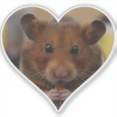 Liebe Hamsters Aufkleber (Vorderseite)