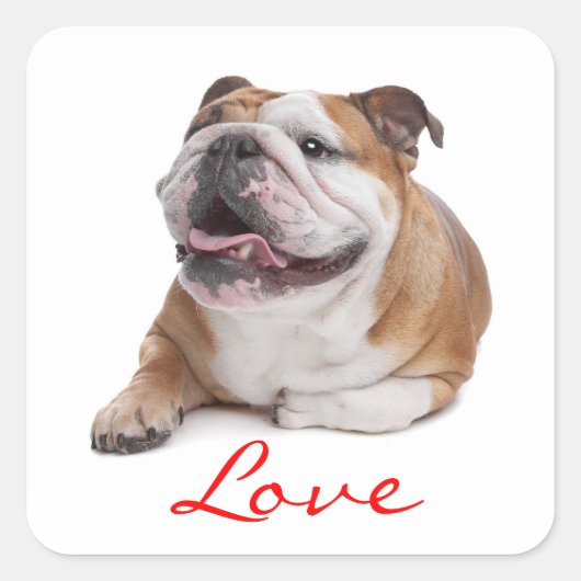 Liebe Happy Bulldog Welpe Hund Sticker (Vorderseite)