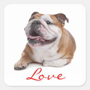 Liebe Happy Bulldog Welpe Hund Sticker