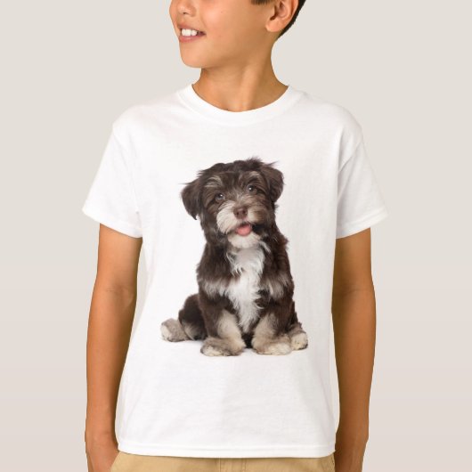 Liebe Havanese Puppy Dog Tee Shirt (Vorderseite)