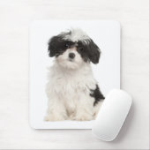 Liebe Havanese Welpe Hund Mousepad (Mit Mouse)