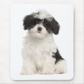 Liebe Havanese Welpe Hund Mousepad (Vorne)