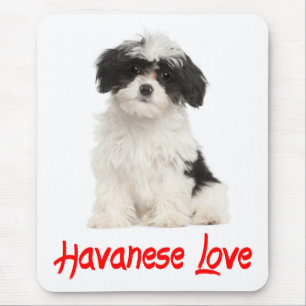 Liebe Havanese-Welpen-Mauspad Mousepad