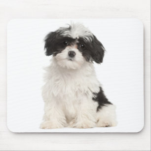 Liebe Havanese-Welpen-Mauspad Mousepad