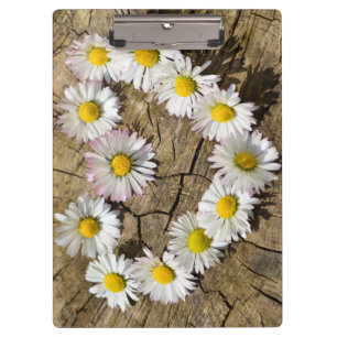 Liebe Heart Daisies Klemmbrett