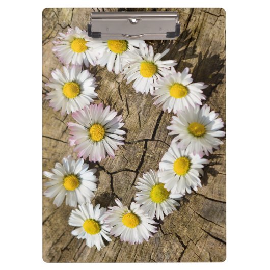 Liebe Heart Daisies Klemmbrett (Vorderseite)