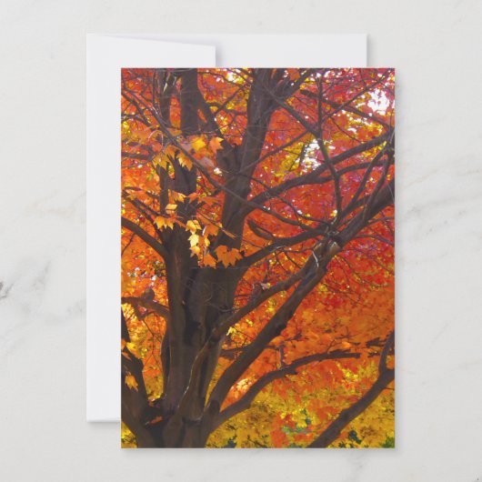 Liebe Herbst Probe Abendessen einladen Einladung (Rückseite)