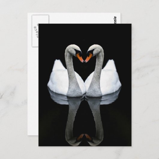 Liebe, Herzform, Weiße Schwäne Postkarte (Vorne/Hinten)