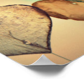 Liebe Herzprotokolle Poster (Ecke)