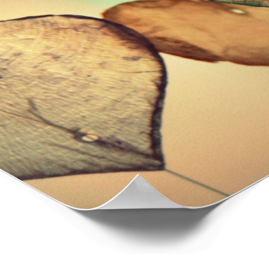 Liebe Herzprotokolle Poster (Ecke)