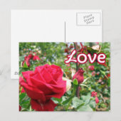 Liebe Hinweis Rose Postkarte (Vorne/Hinten)