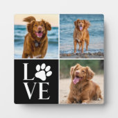 Liebe Hund mehr als 3 Fotosammlungen Tiere Moderne Fotoplatte (Vorderseite)