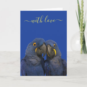 Liebe Hyacinth Macaw Parrot Bird Blue Karte