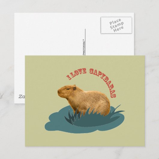 Liebe I Capybaras Postkarte (Vorne/Hinten)
