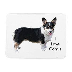 Liebe I Corgismagnet Magnet