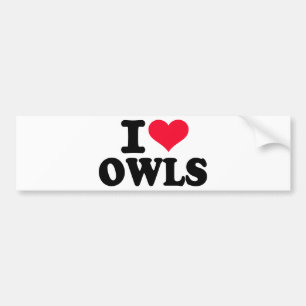 Liebe I Eulen Autoaufkleber