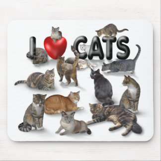 Liebe I Katzen Mousepad
