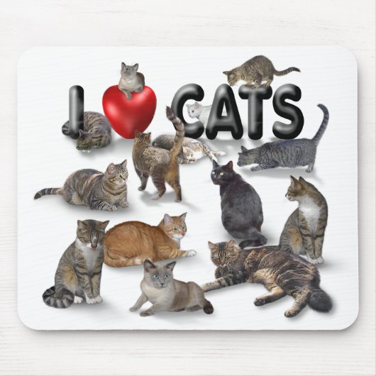 Liebe I Katzen Mousepad (Vorne)