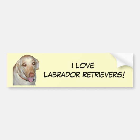 Liebe I Labrador-Retriever! Autoaufkleber (Vorne)