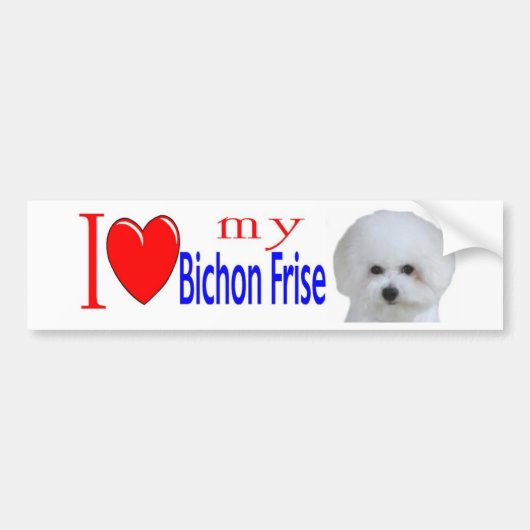 Liebe I mein bichon Afro3 Autoaufkleber (Vorne)