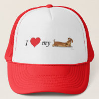 Liebe I mein Dackelhund