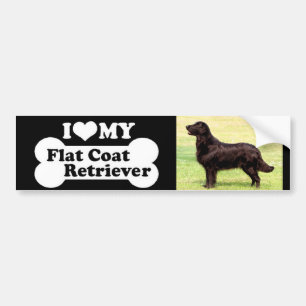 Liebe I mein flacher überzogener Retriever Autoaufkleber